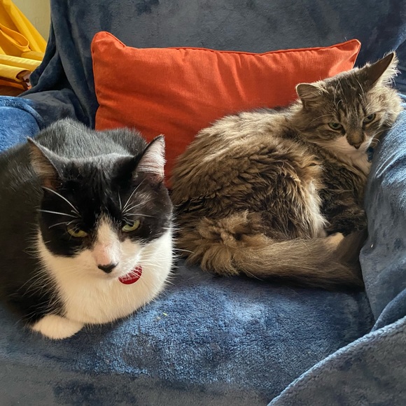 Meet Your Posher, Meghan! - Picture 4 of 4